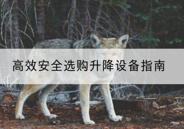 新安升降货梯厂家推荐-*安全选购升降设备指南