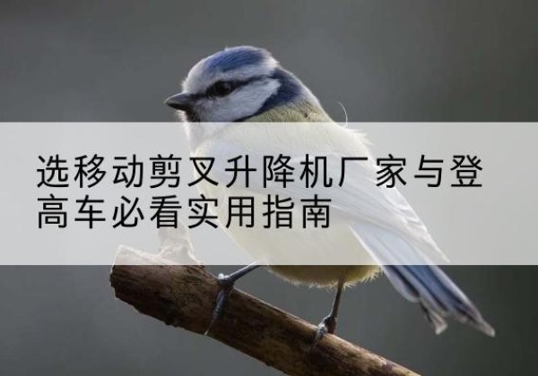 新安电动升降机厂家-选移动剪叉升降机厂家与登高车必看实用指南