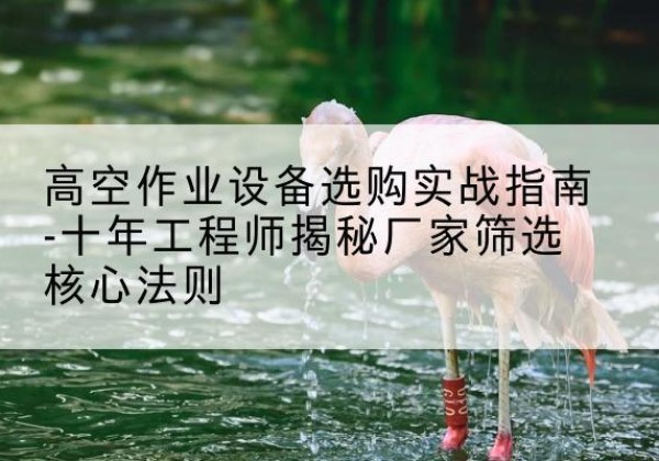 新安剪叉式升降机厂家-高空作业设备选购实战指南-十年工程师揭秘厂家筛选核心法则